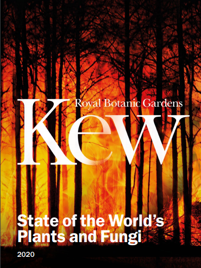 RBG KEW REPORT 2020