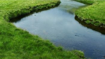 RIVER - WITH BEND