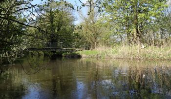 RIVER GENERIC ANGLIAN WATER