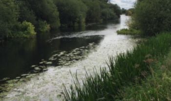 RIVER GENERIC AW REGION