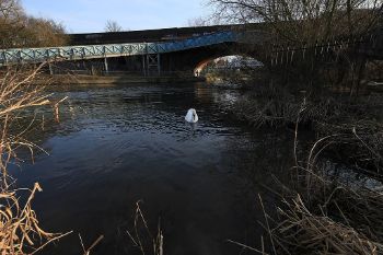 RIVER Kennet Mouth 1
