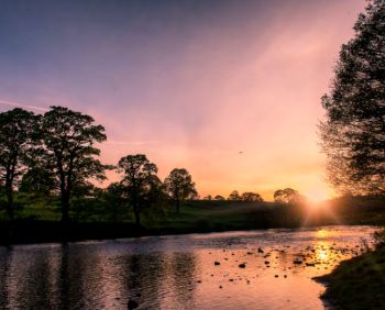 RIVER TEES