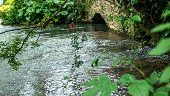 RIVER  BRIDGE