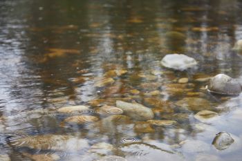 River - clear water