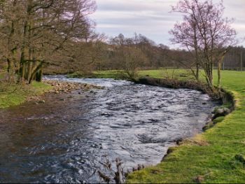 River Dunsop 2