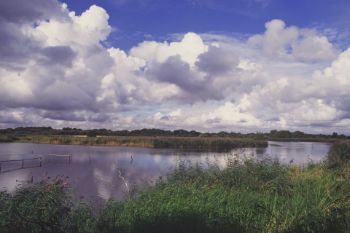 River Meon - chalk stream Hampshire 1