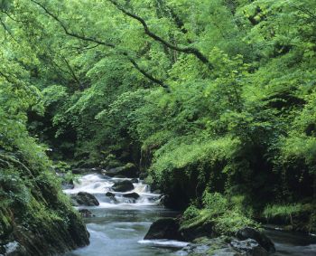 River SW Water 1