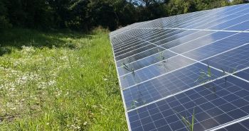 SCOTTISH WATER Newbridge WWTW SOLAR SCHEME