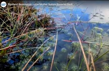 SCOTTISH WATER PEATLAND RESTORATION