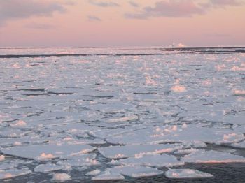SEA ICE ARCTIC
