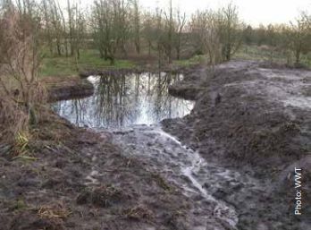 SEDIMENT POND - CONSTRUCTED FARM WETLAND - IMAGE FROM WWT