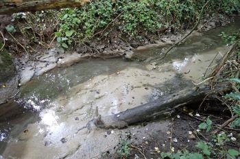 SEVERN TRENT POLLUTION OF LEICESTERSHIRE BROOK
