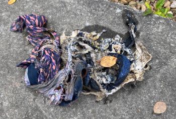 SEWAGE POLLUTION - CLOTHING BLOCKAGE 1