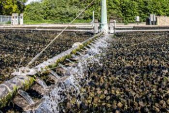 SEWAGE TREATMENT WORKS GENERIC