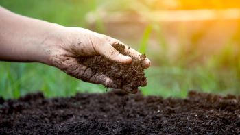 SOIL HAND GENERIC