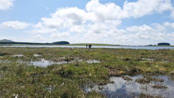 SOUTH WEST WATER CROWDY RESERVOIR Crowdy marsh PEATLAND
