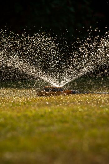 SPRINKLER 2 1