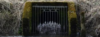 STORM OVERFLOW