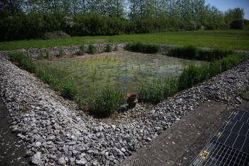 Severn Trent Fenny Compton WWTW reed bed