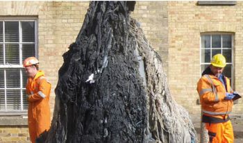 Sewage unflushables blockage