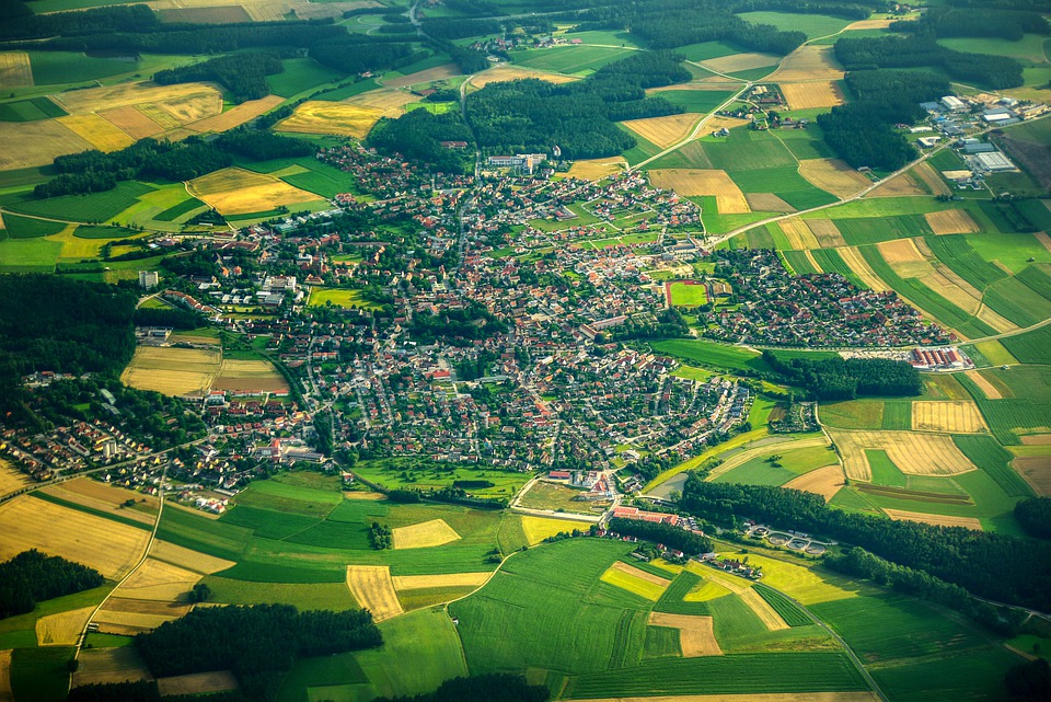 TOWN  FIELDS habitat