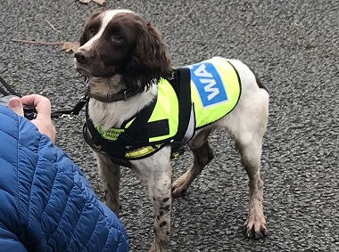 UU SNIFFER DOG