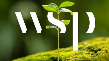 WSP LOGO