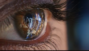 WSP  EYE IMAGE