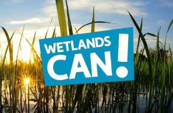 WWT_WETLANDS_CAN_1.jpg