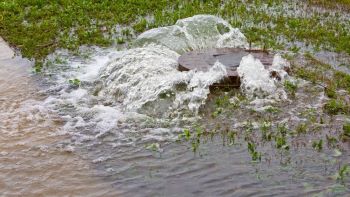 Water bubbling out of manhole cover - Getty Images