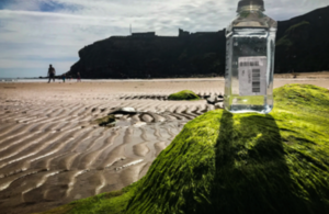 Water quality test KingEdwardsBay