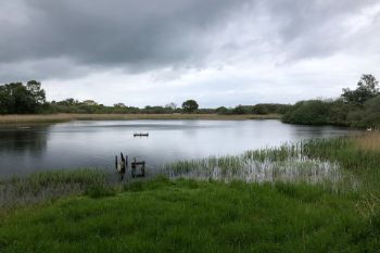 Wetland_The_Great_Fen_2_1.jpg