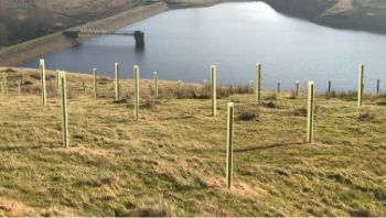 YORKS WATER TREE PLEDGE