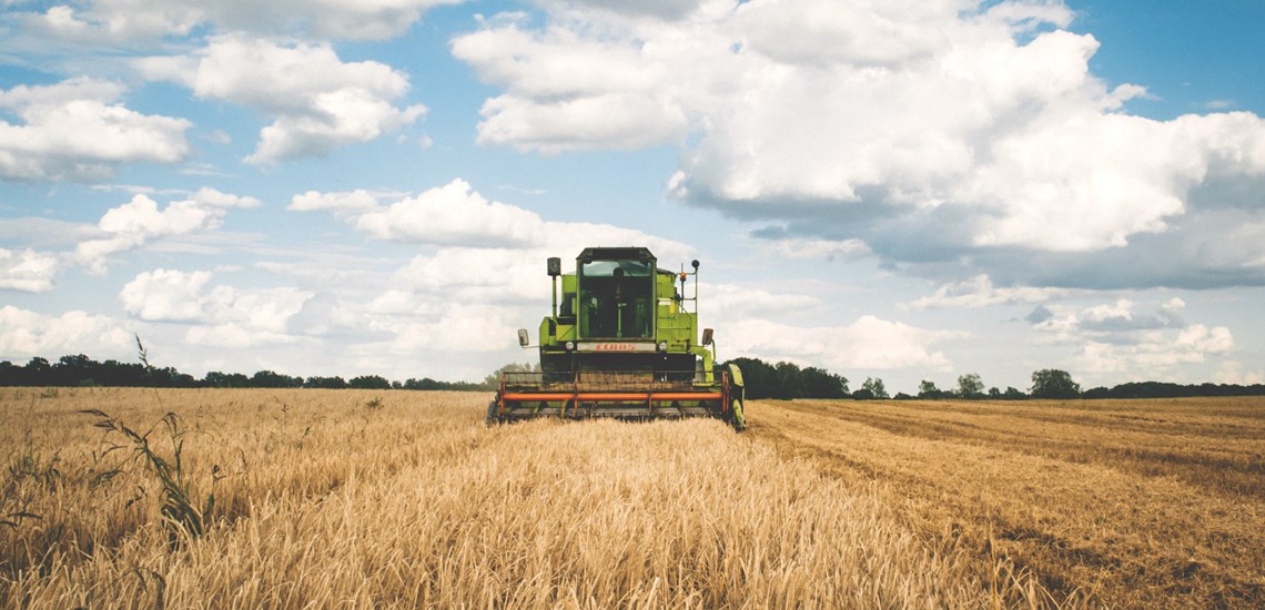 agriculture-cereal-clouds-175389