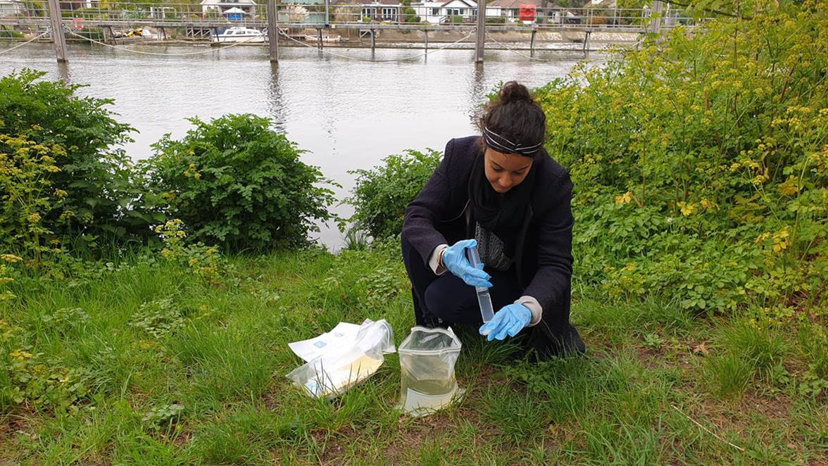 eDNA sampling