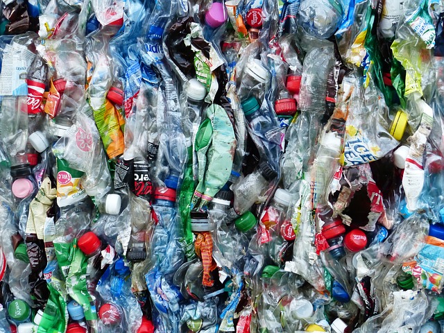 plastic-bottles-115071 640