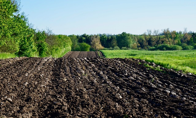 ploughed field