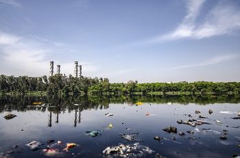 pollution_1.jpg