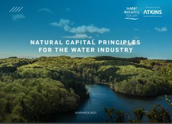 wif natural capital report